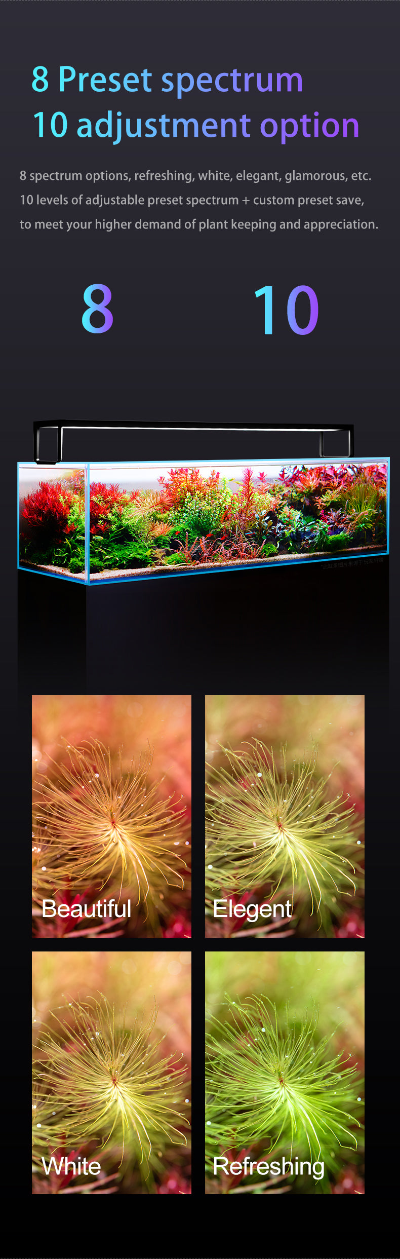 Netlea AT5S Gen 3 - Voice Activation - 2025