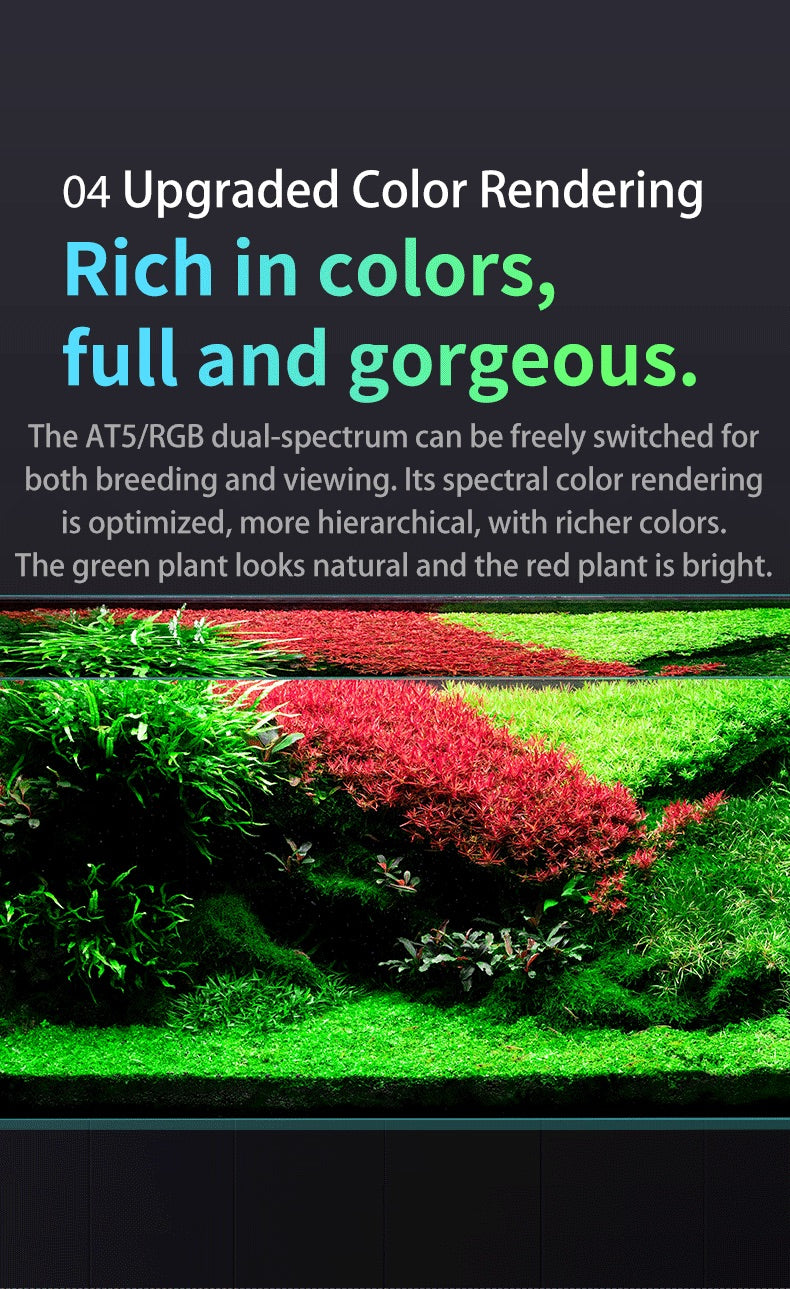 Netlea Thor 6s - Advance Lighting System