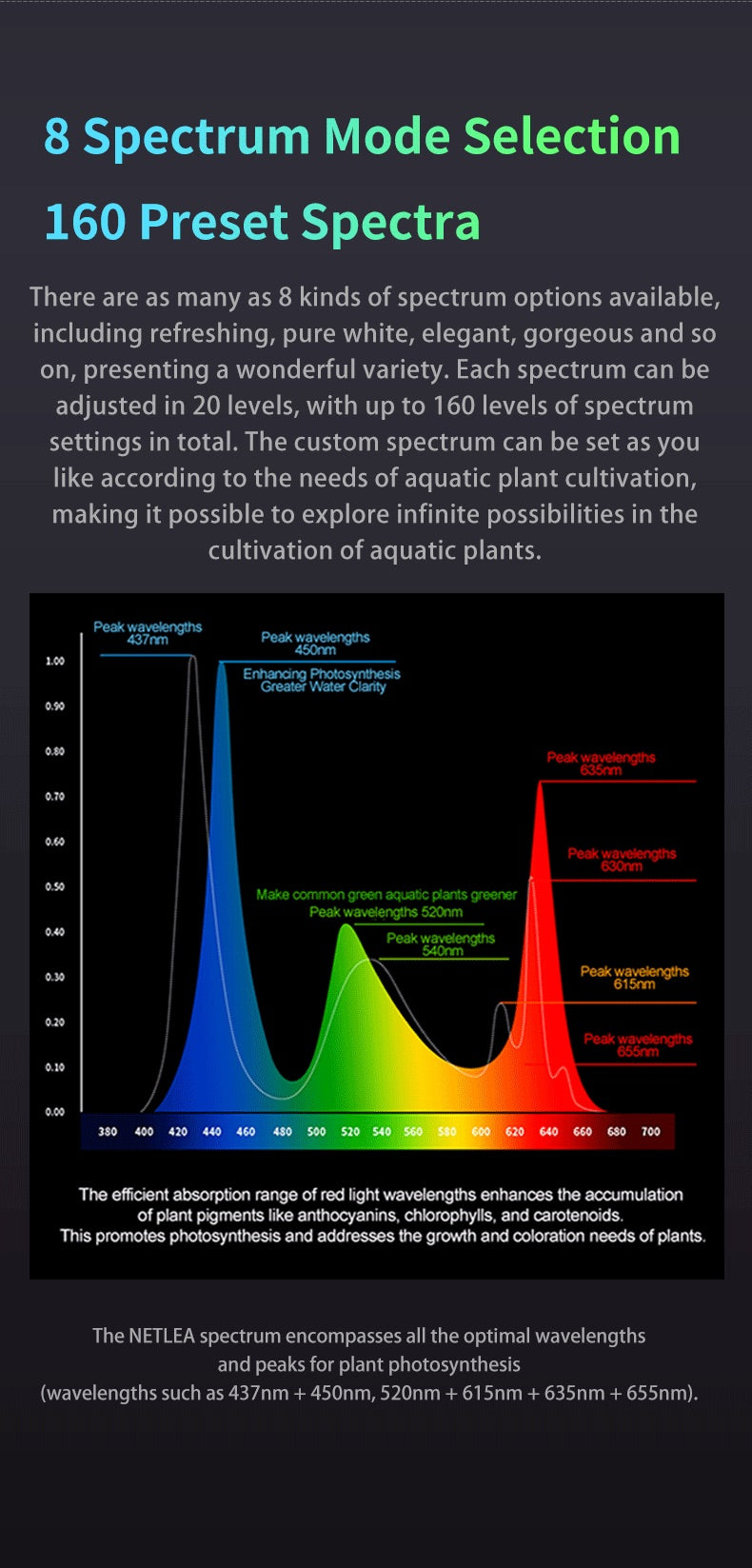 Netlea Thor 6s - Advance Lighting System