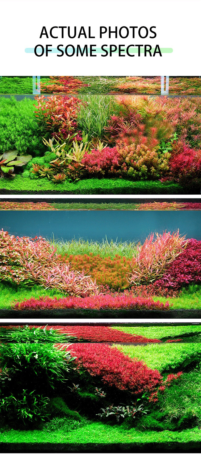 Netlea Thor 6s - Advance Lighting System