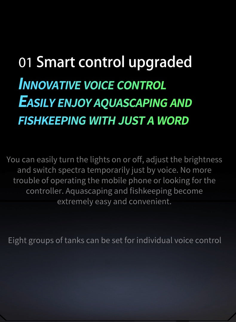 Netlea Thor 6s - Advance Lighting System