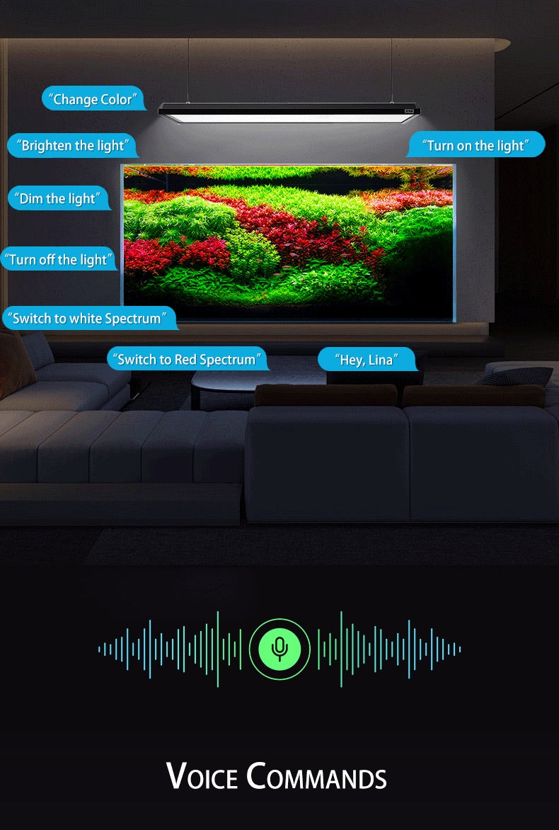 Netlea Thor 6s - Advance Lighting System