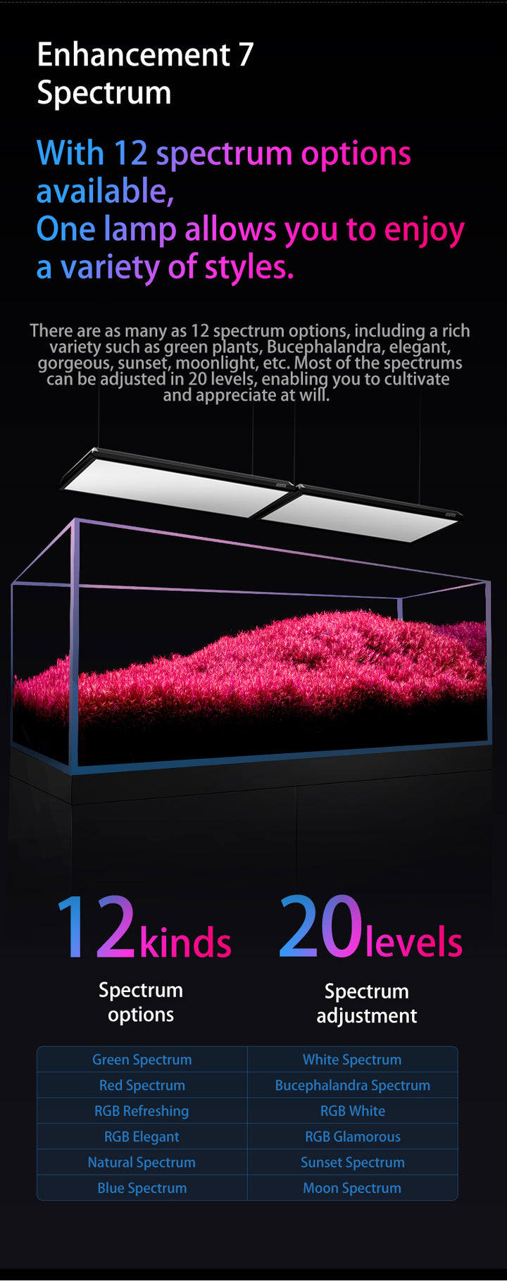 Netlea AT7S - AT6 PRO Light - Unlock The Beast