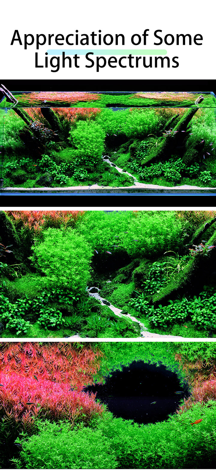 Netlea AT7S - AT6 PRO Light - Unlock The Beast