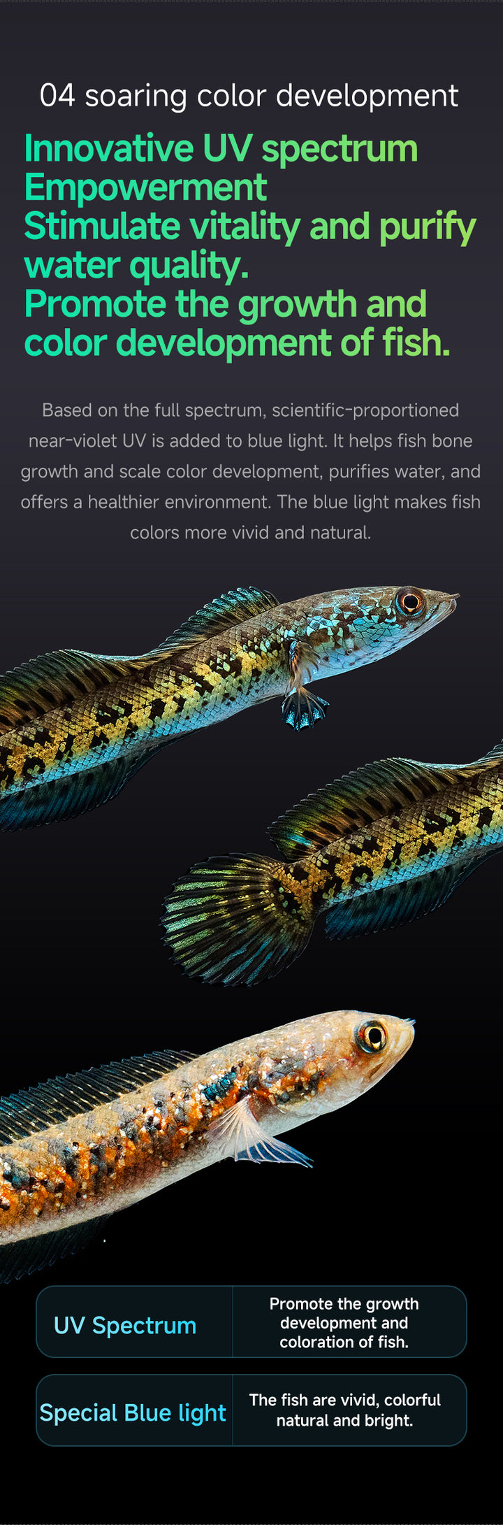 Netlea Sun 7N Biotop Lighting System