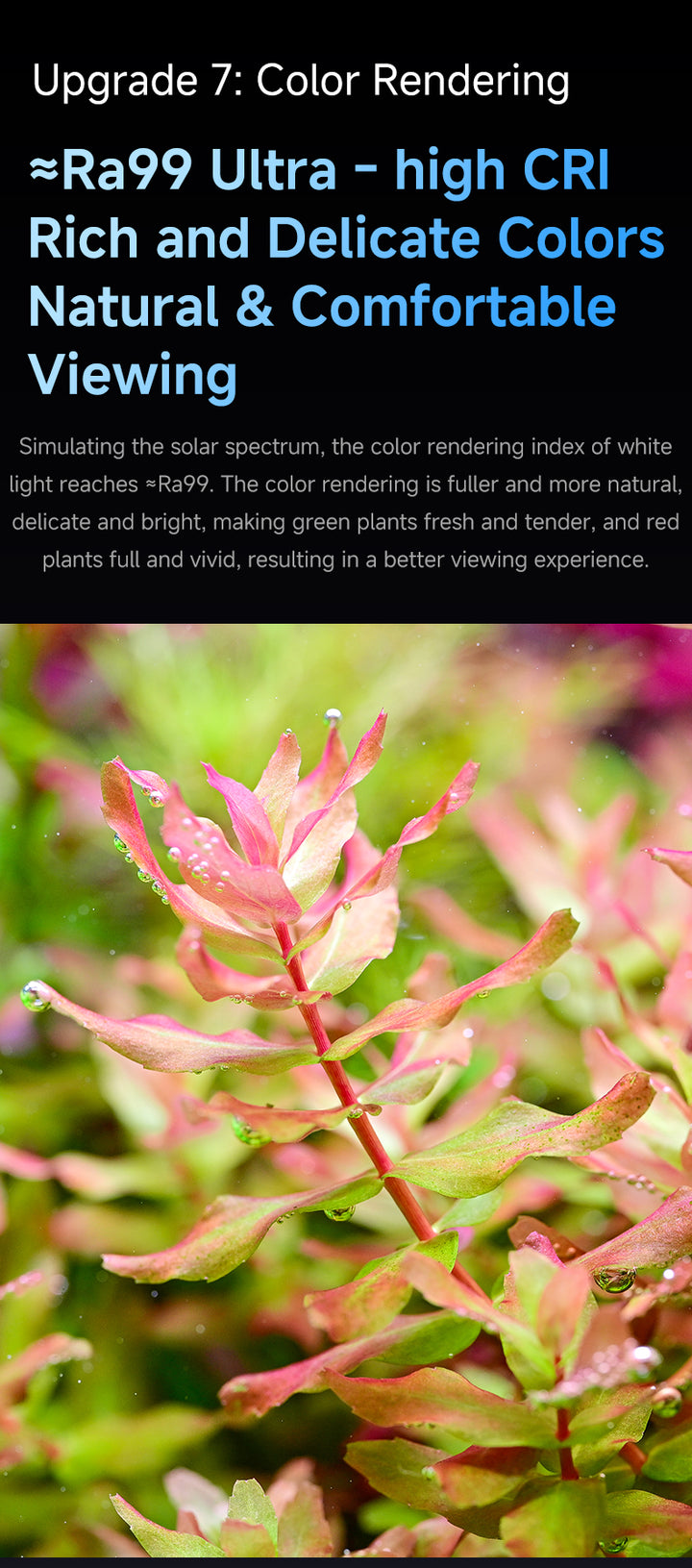 Netlea 6S Bracket Light Gen 3 - Smart Aquarium LED