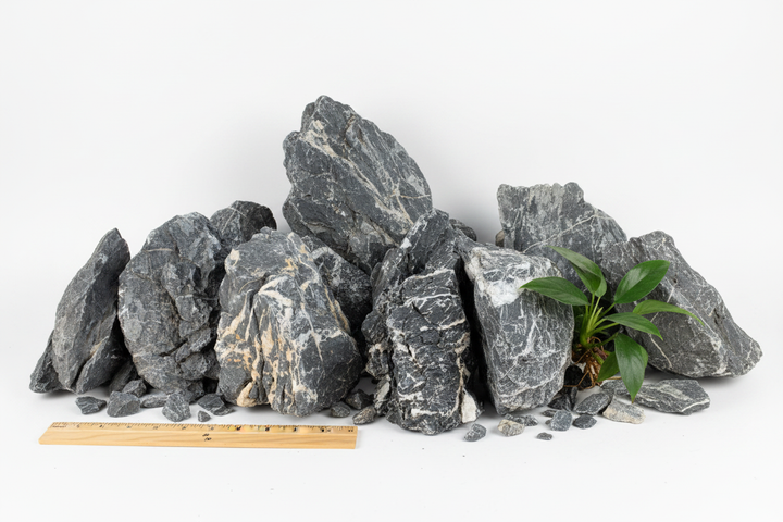 Seiryu Stone – Scale Reference