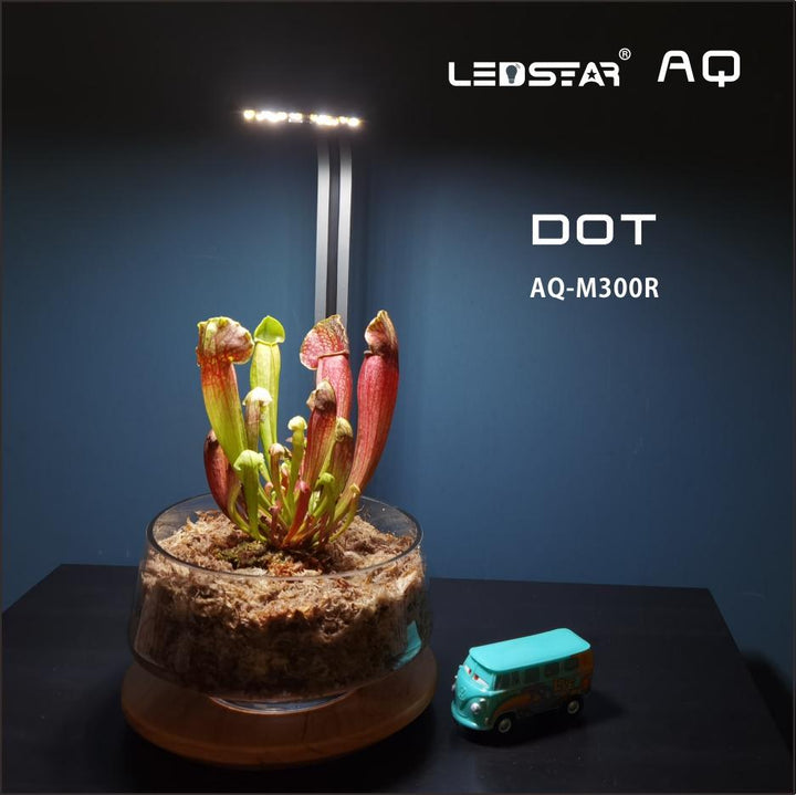 LEDSTAR AQ-DOT RGBW