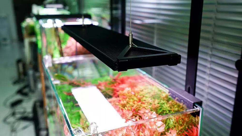 CHIHIROS WRGB II PRO 90 CM - Black