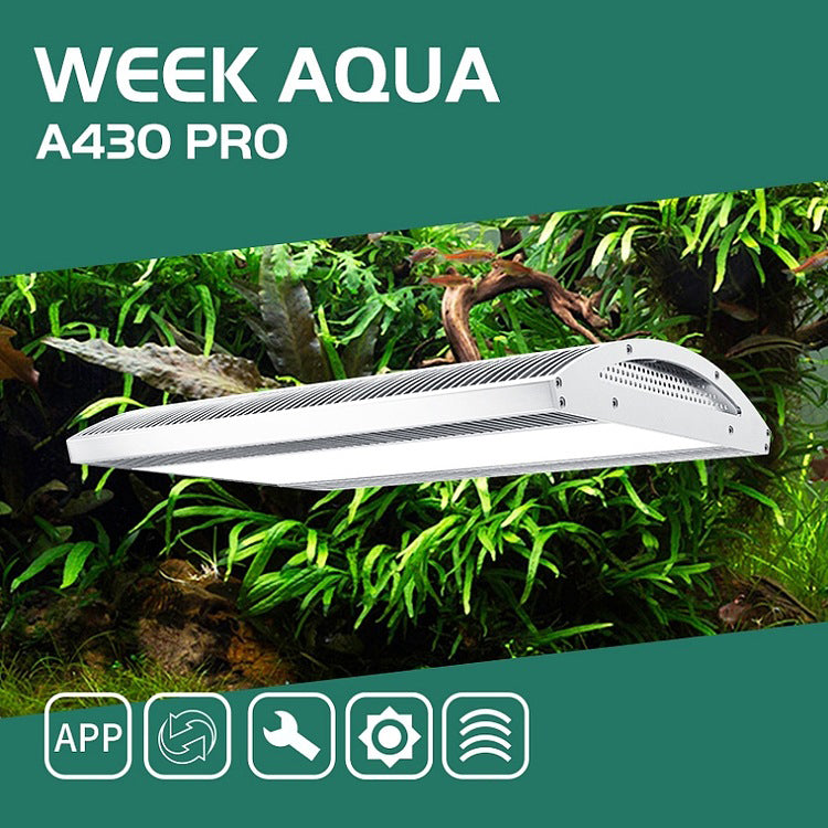Week Aqua Ark A430 PRO 3.0