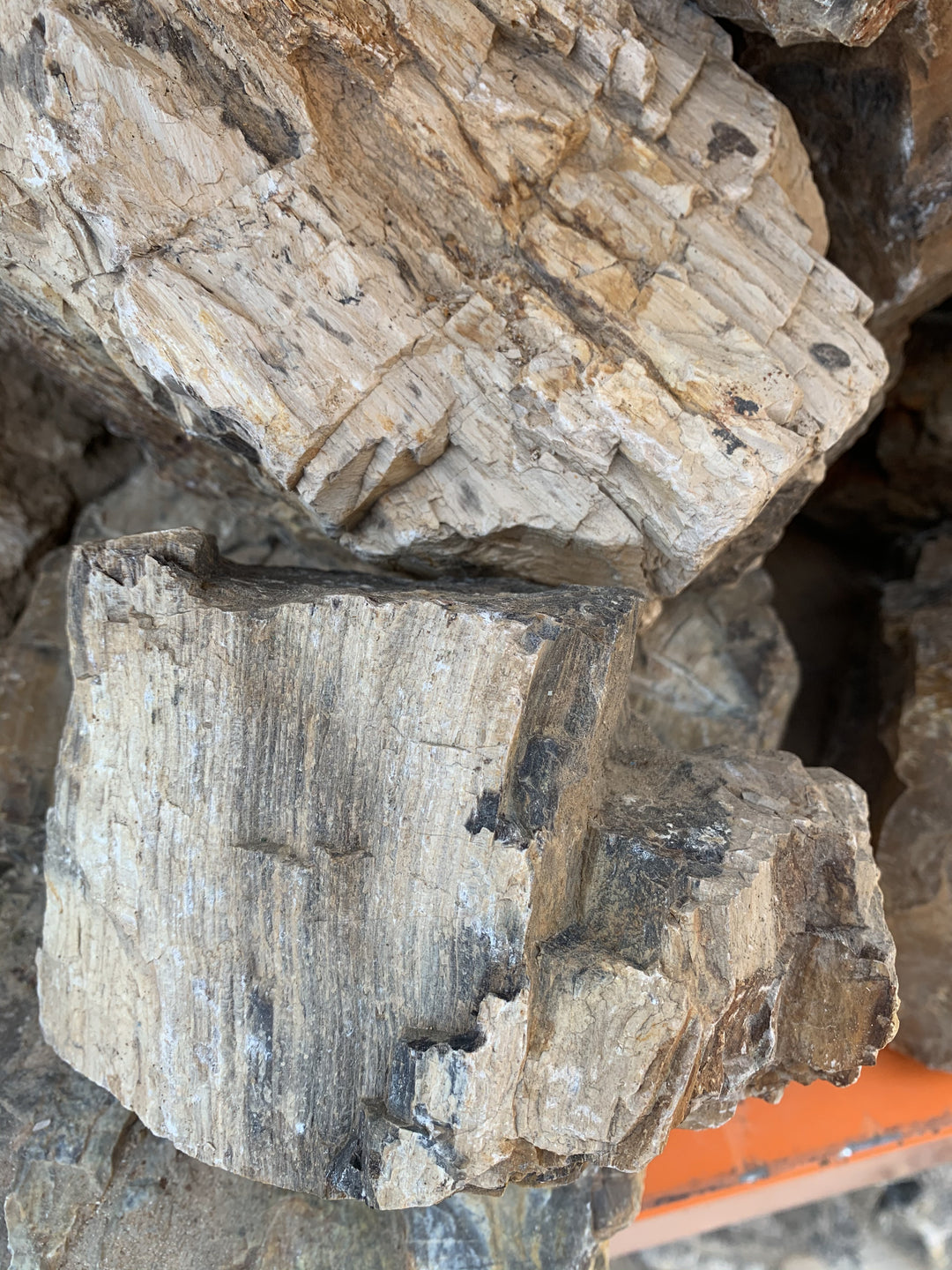 Natural Wood Stone Aquarium Rocks Petrified Wood from China