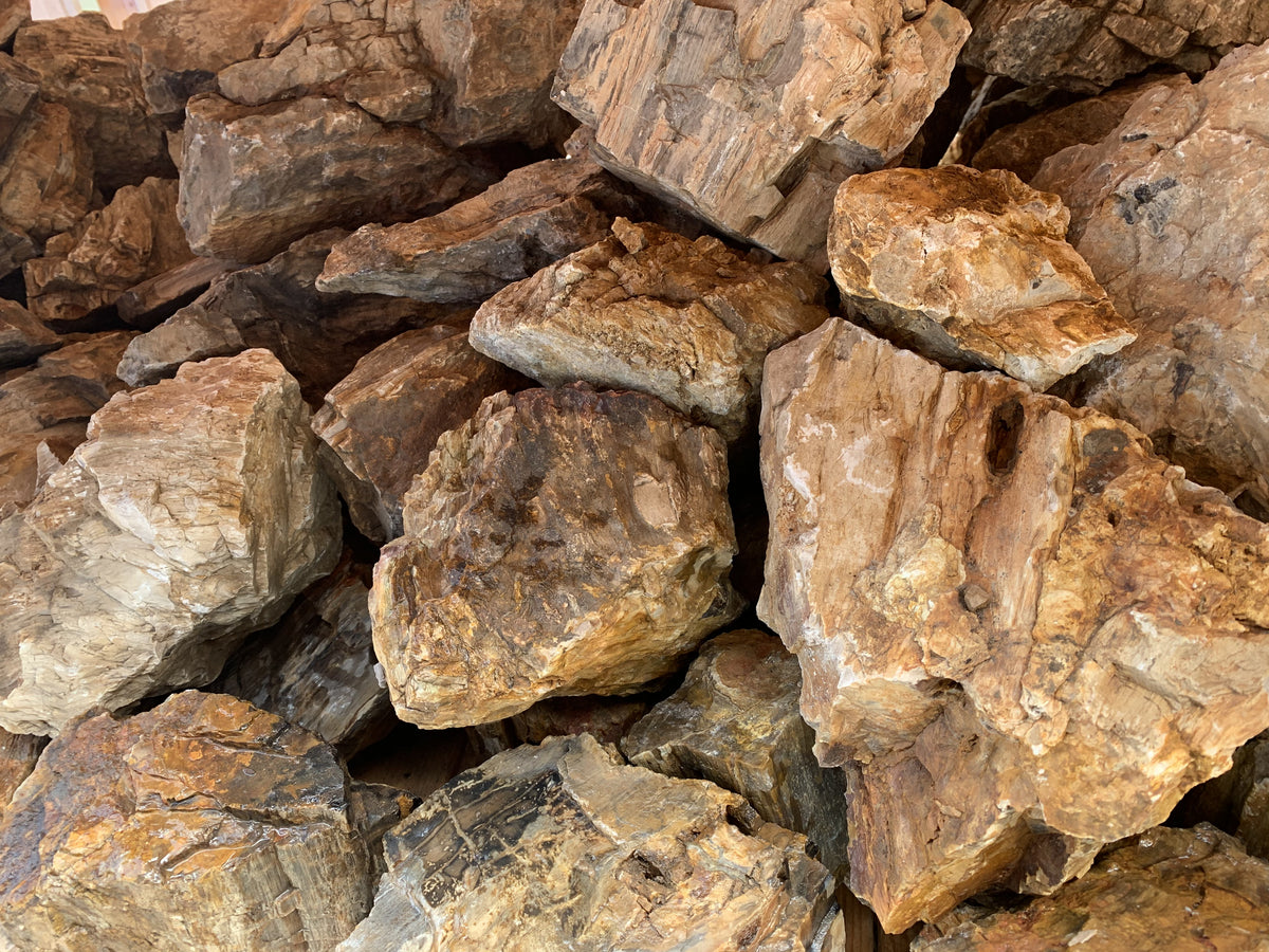 Aqua Rocks Colorado Your New Place of Aquarium Supplies Chihiros