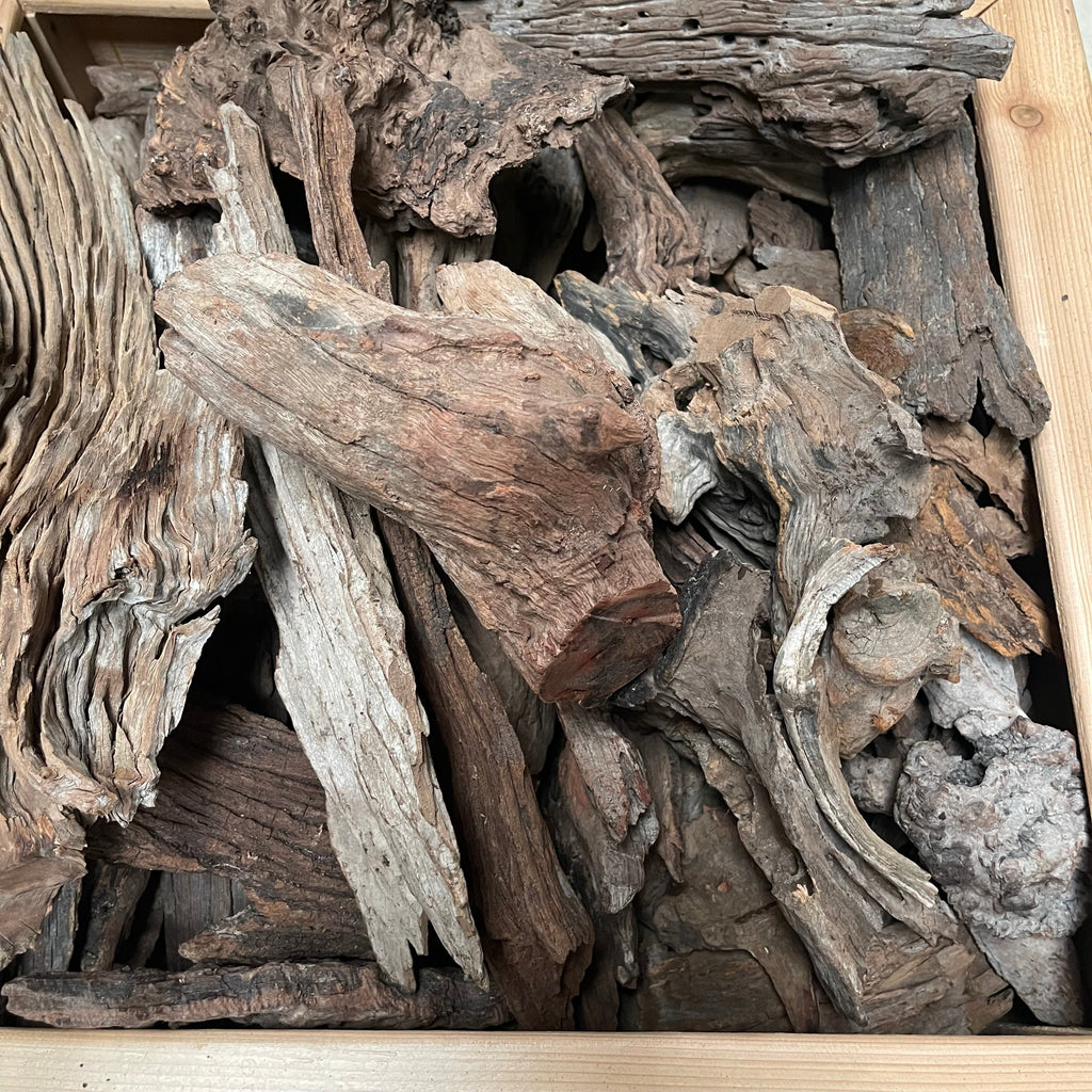 Malaysian Driftwood - Medium