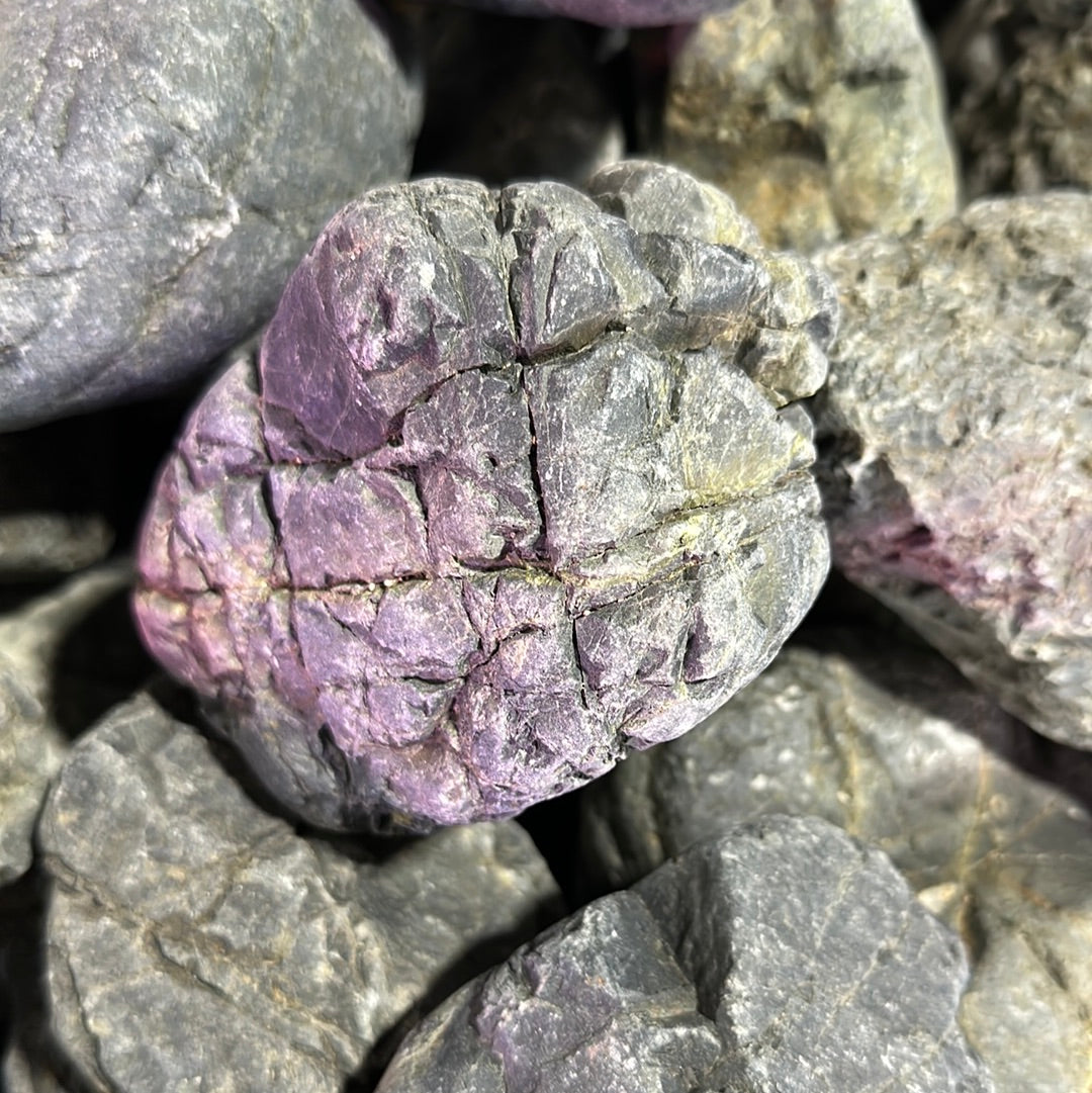 Gotland Stone