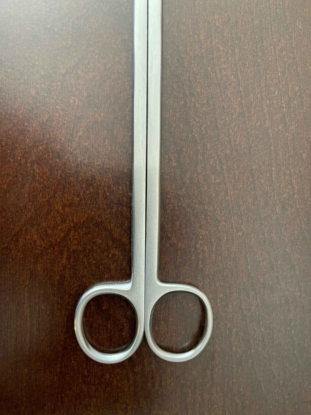 Stainless Steel Curved Scissors